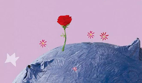 小王子与玫瑰花——会呼吸的秘密藏在爱生华...
