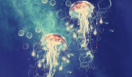 海洋呼吸®--爱生华硅水凝月抛透片 神秘来...