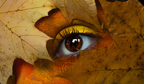 爱生华，赋能隐形眼镜行业